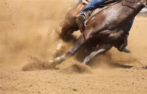 closeup of horse's lower body and legs while making a hard turn