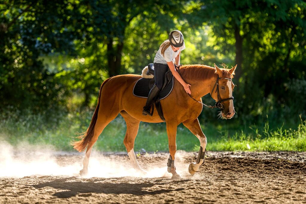 rider patting horse