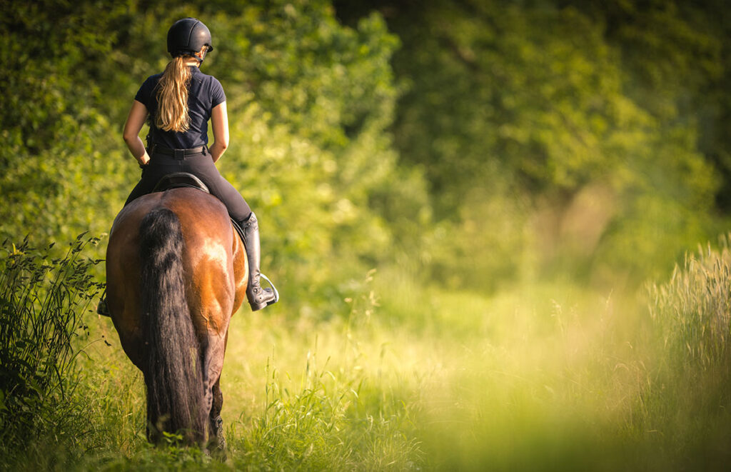 horse and rider walking away from camera, in field