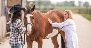 vet listening to horse with stethoscope