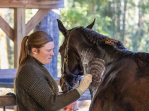 vet technician