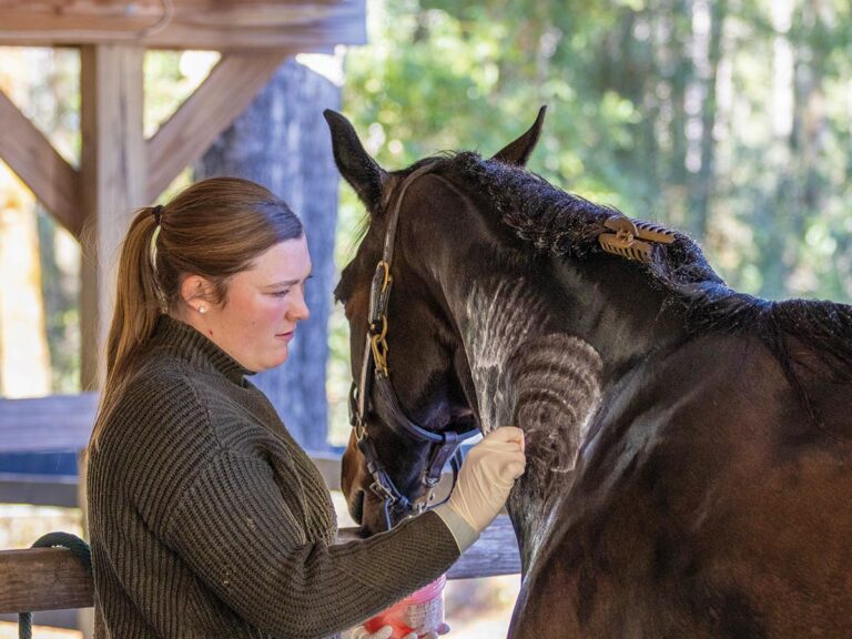 vet technician