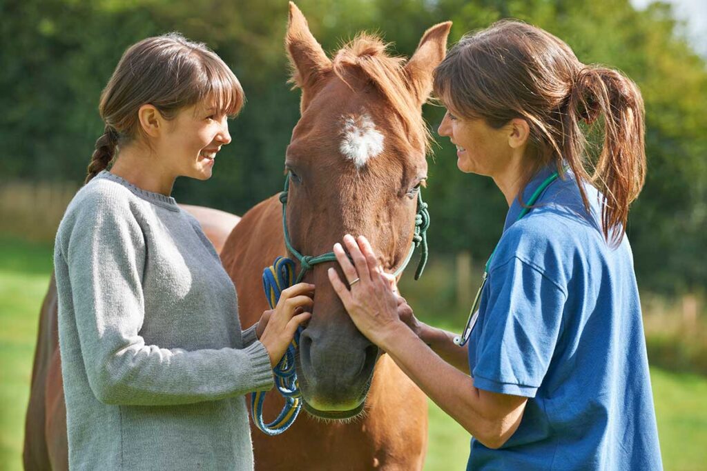 vet talking to horse owner