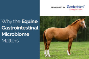 Why the Equine Gastrointestinal Microbiome Matters