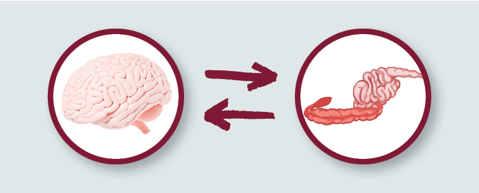 gut brain axis