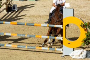 horse jump refusal