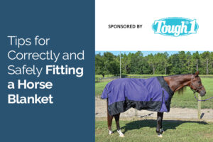 Tips for Correctly & Safely Fitting a Horse Blanket