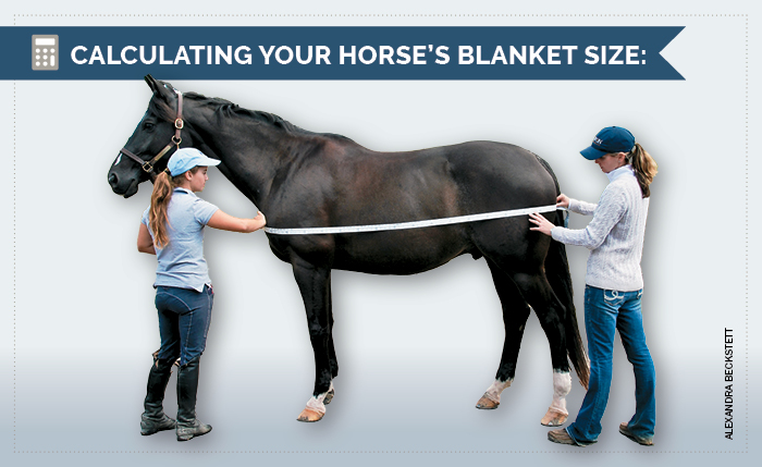 Calculating Your HOrse's Blanket Size