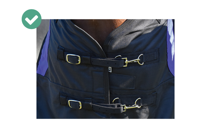 horse blanket buckles correctly fastened