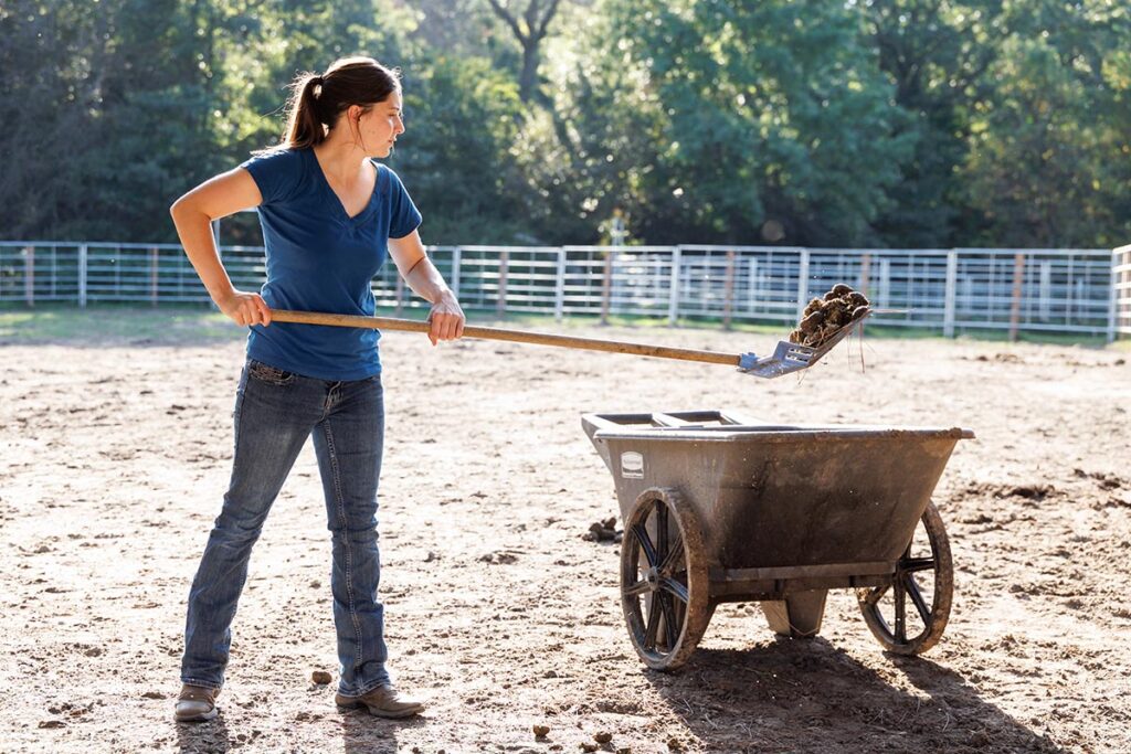 picking up horse manure