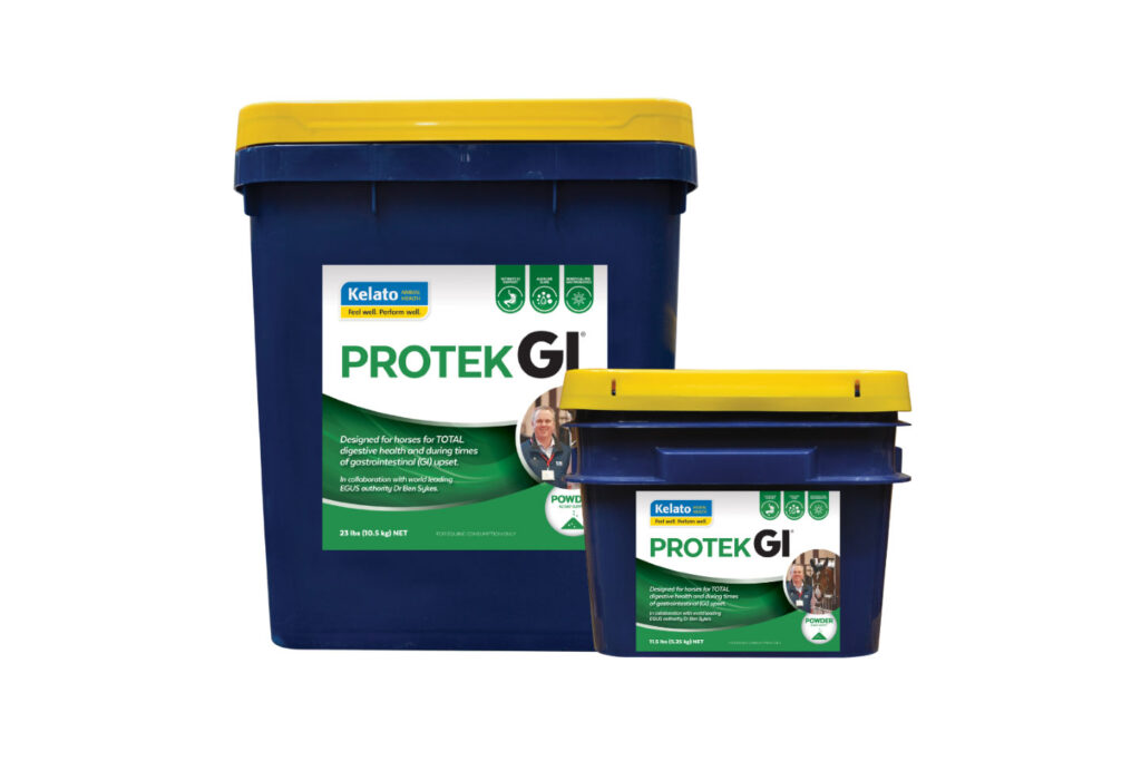 Protek GI