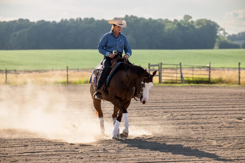 western horse under saddle