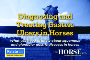 Diagnosing and Treating Gastric Ulcers