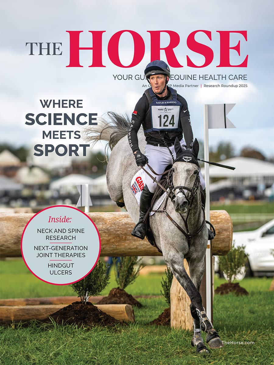 The Horse: Research Roundup 2025 issue