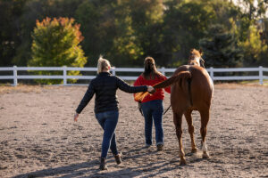 vet exam, tail pull, neurologic exam
