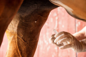 joint injection