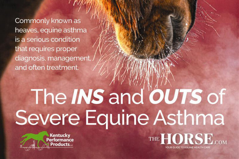 ASTHMA-new_feature_title_2560x1920_KPP