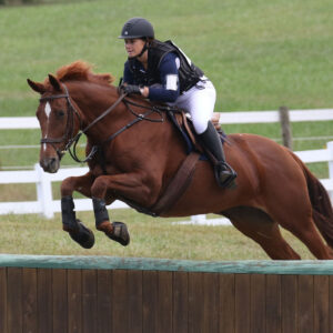 Picture of Lauren Trager, DVM, MS, Dipl. ACVSMR