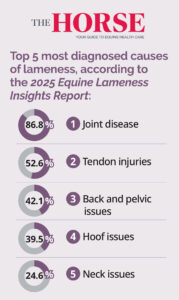 Top 5 most diagnosed causes of lameness