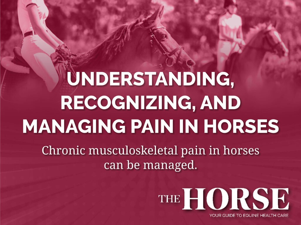 Understanding, Recognizing, and Managing Pain in Horses