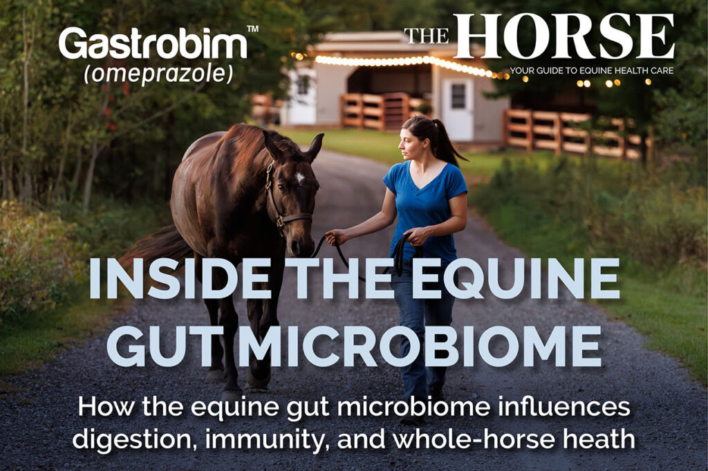 Inside the Microbiome