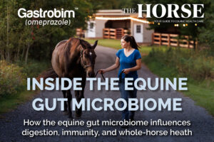 Inside the Microbiome