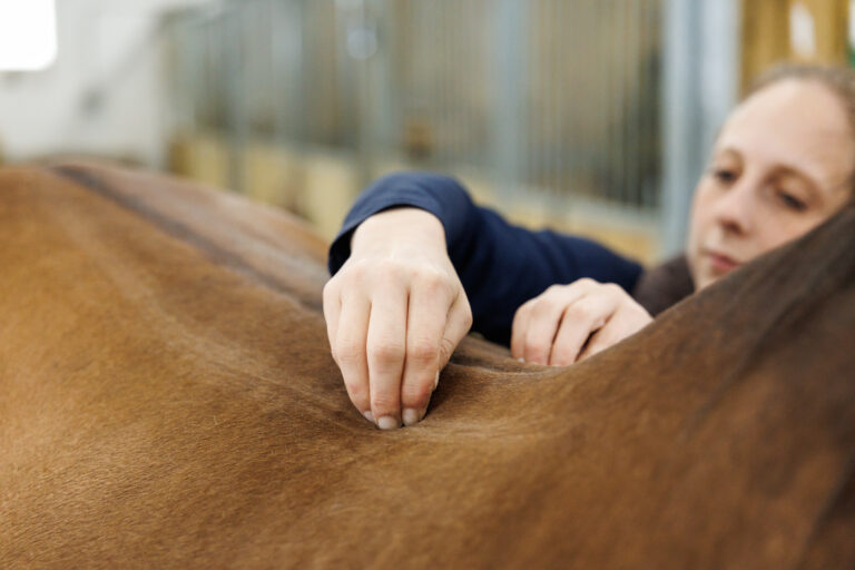 060_thehorse-vet_2025
