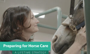 Preparing for Horse Care