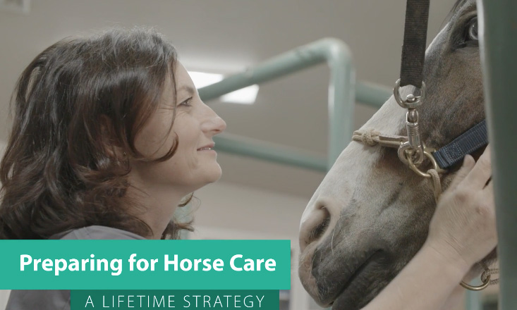 Preparing for Horse Care