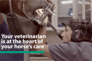Building a Healthy Relationship With Your Veterinarian