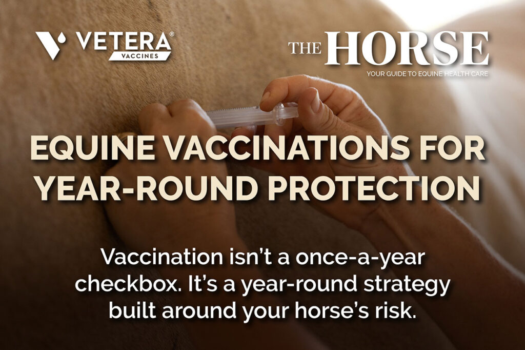 Equine Vaccination for Year-Round Protection