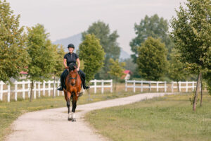 riding horse on gravel path
