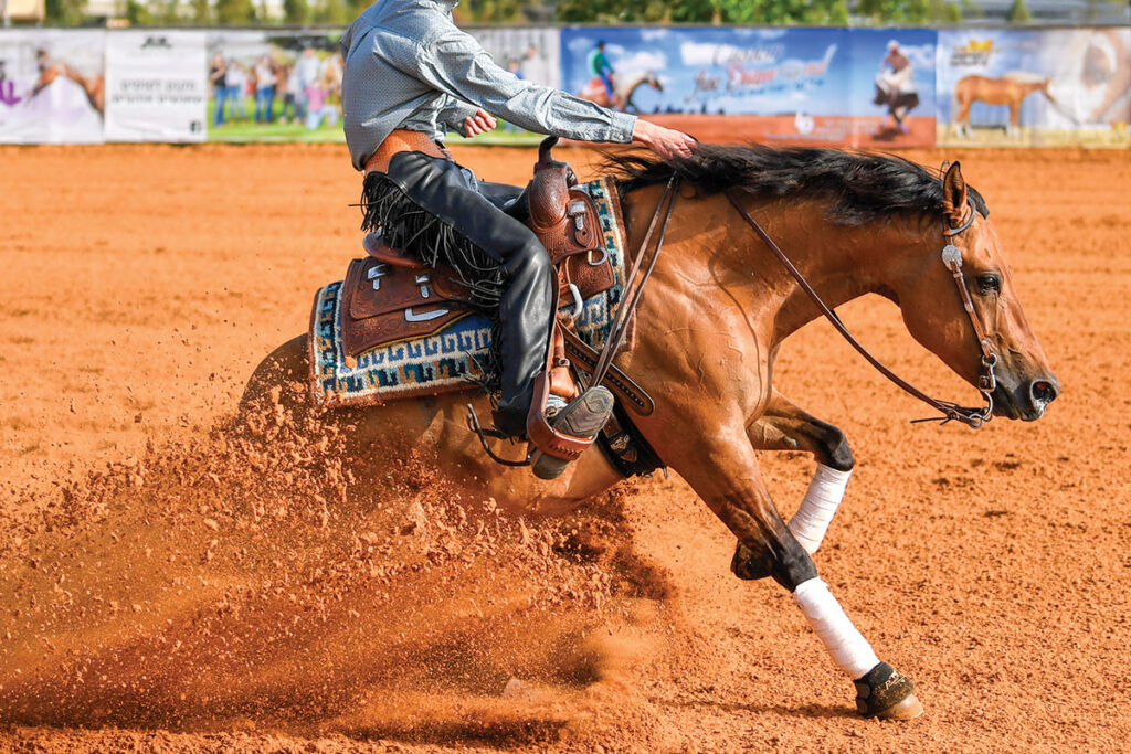 bay reining horse sliding stop