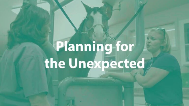 Planning for the Unexpected