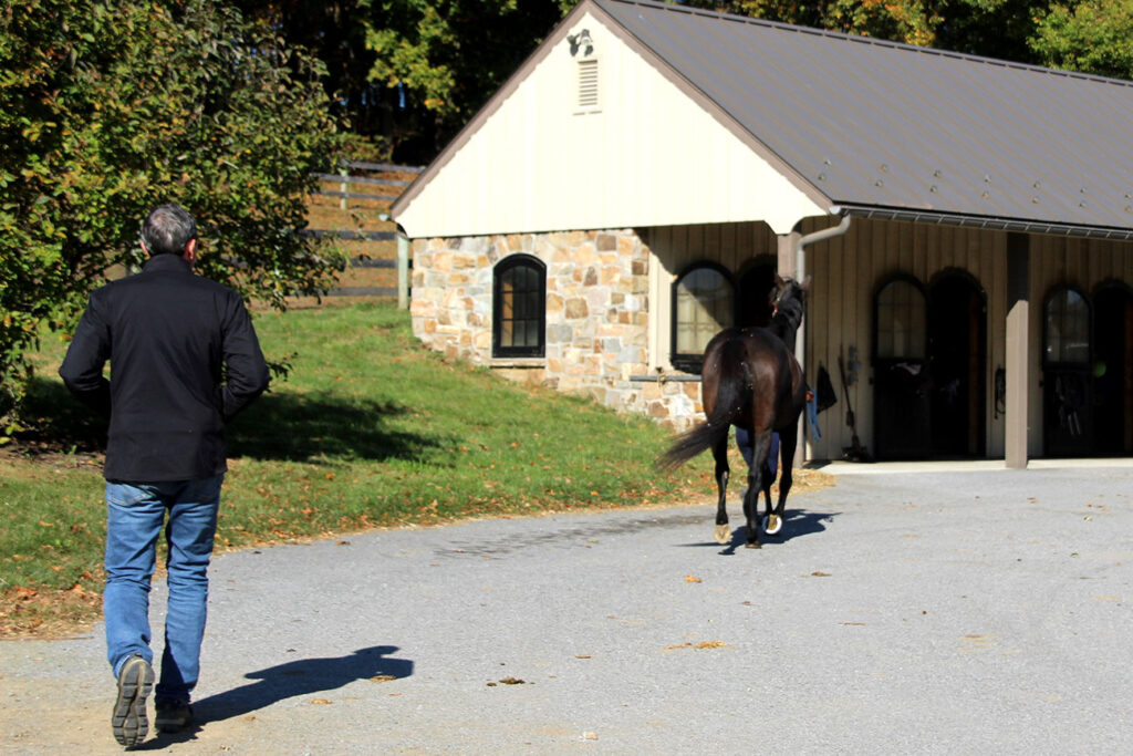 Jogging horse away from vet