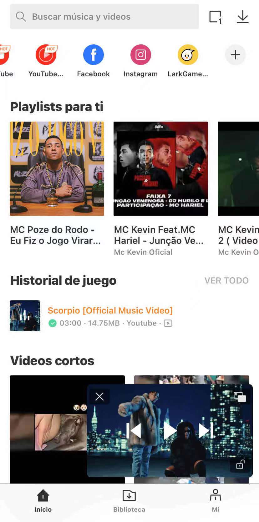 download instagram audio
