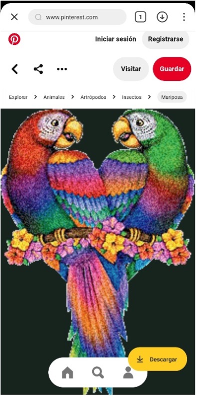 descargar gifs de pinterest