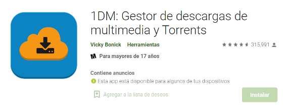 1dm