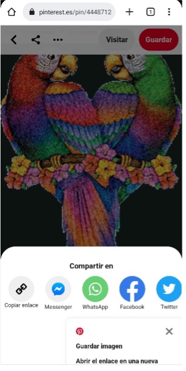 descargar gifs de pinterest