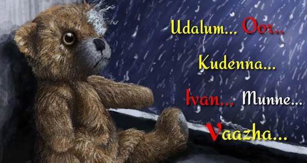 sad shayari video download