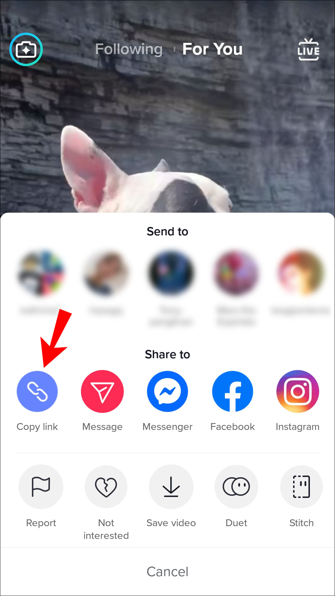 téléchargement video tiktok