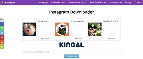 instagram video downloader online