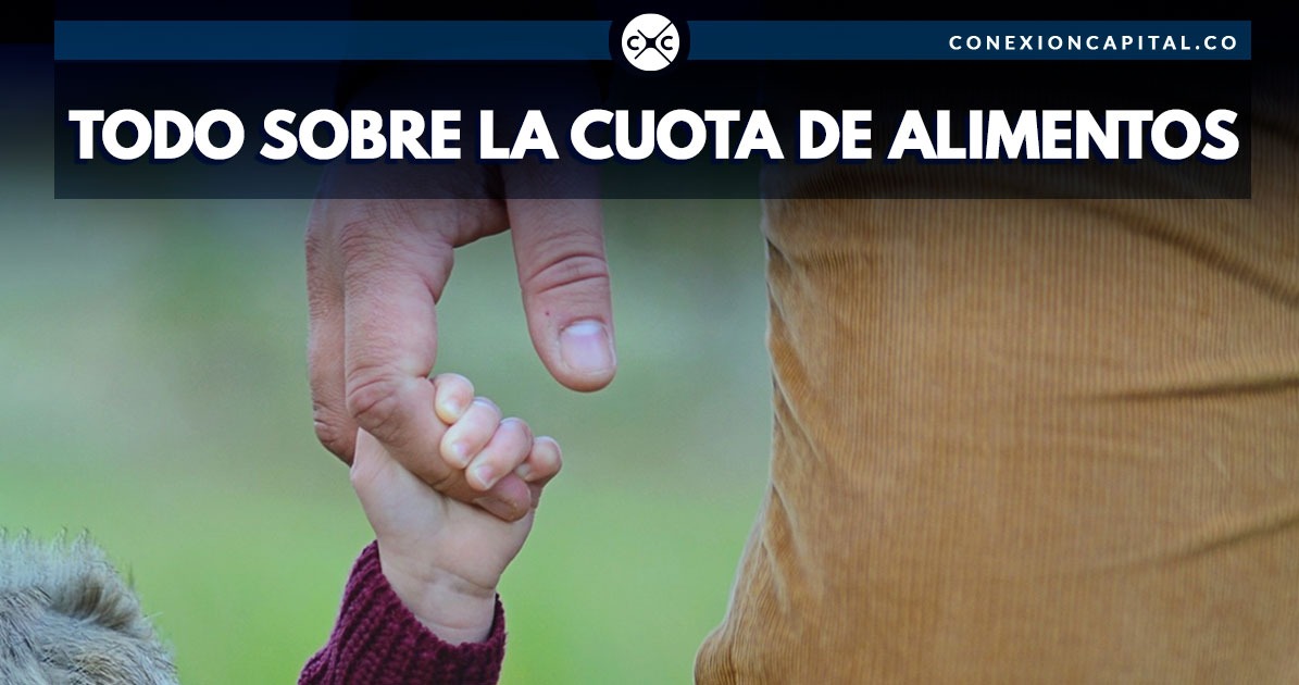 Cuota alimentaria: preguntas y respuestas que aclaran este tema legal
