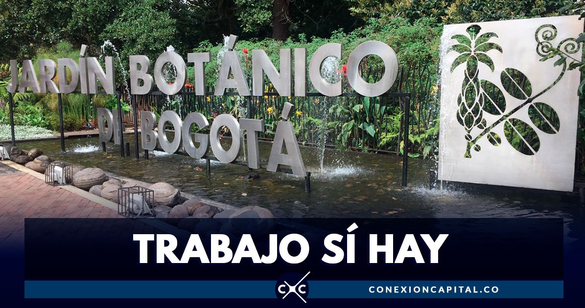 ¡Trabaje con el Jardín Botánico! Conozca las convocatorias vigentes