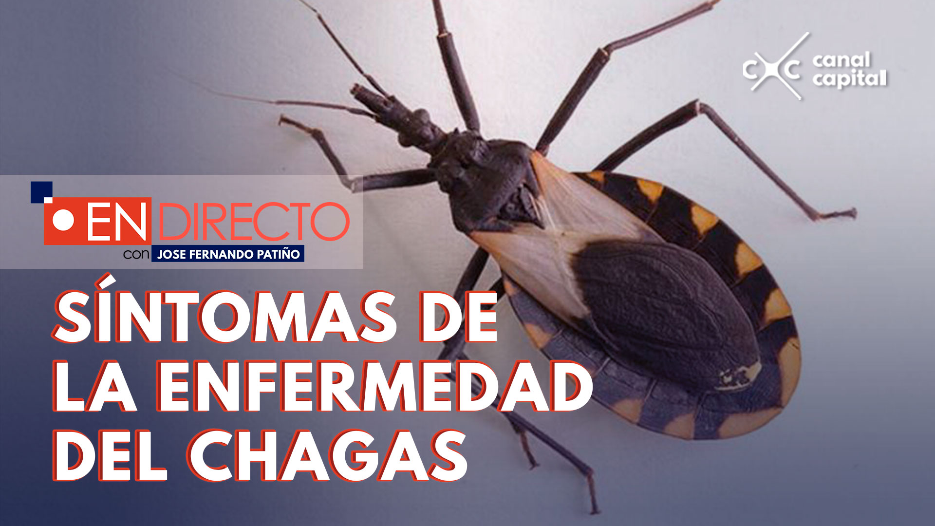 ¿Qué es la enfermedad de Chagas?