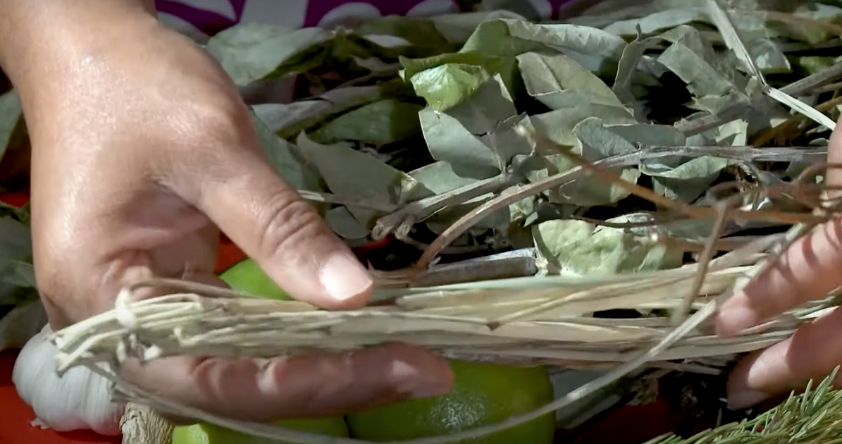 Ajo, jengibre y romero, la medicina ancestral practicada a través de plataformas digitales