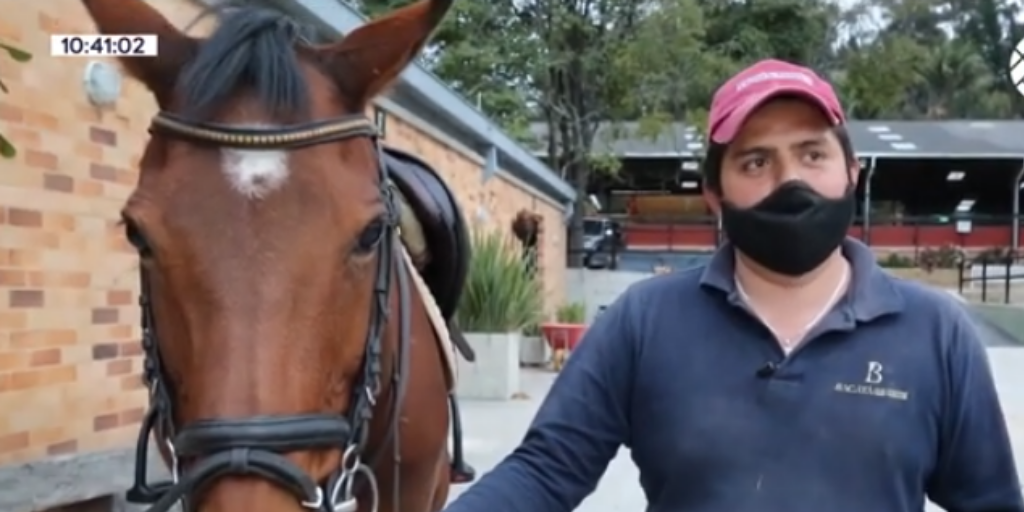 ¿Qué es un palafrenero? Aquí te contamos