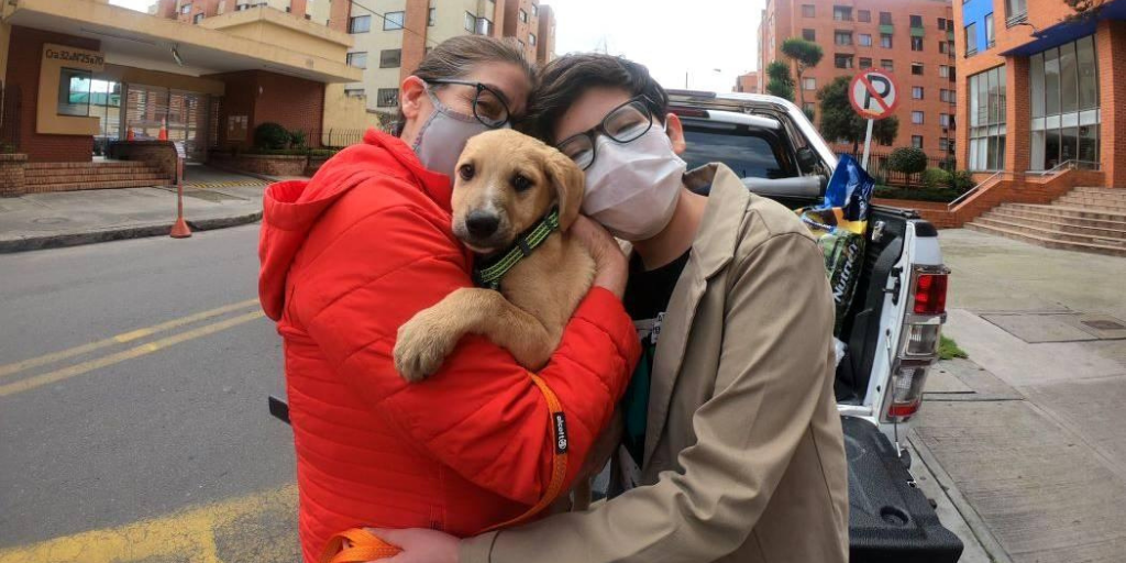 Esta es la línea donde puedes llamar si tu mascota fallece