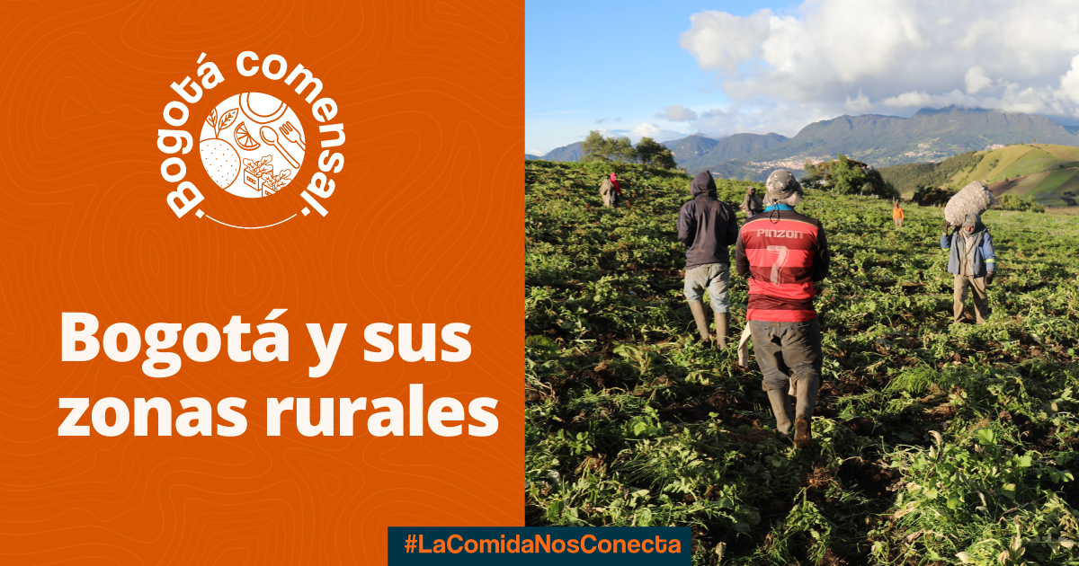 Características de las zonas rurales de Bogotá