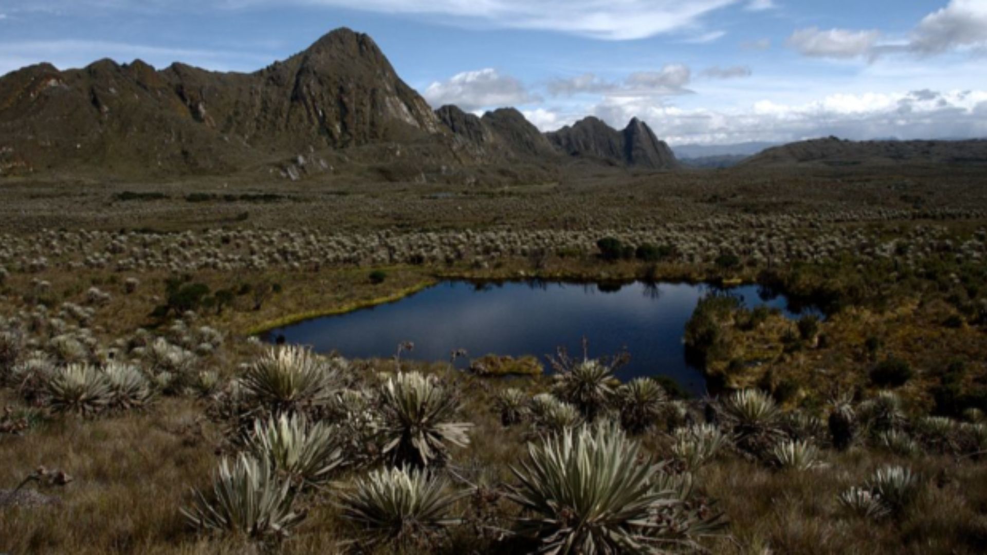 Ruta del agua: desde los páramos hasta tu casa